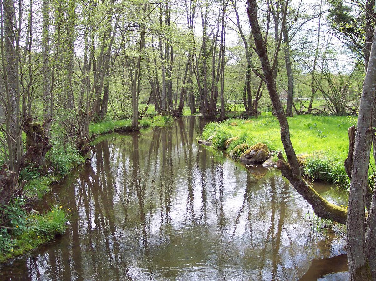 La Vieille Auberge Du Lac Saint-Agnan  ภายนอก รูปภาพ