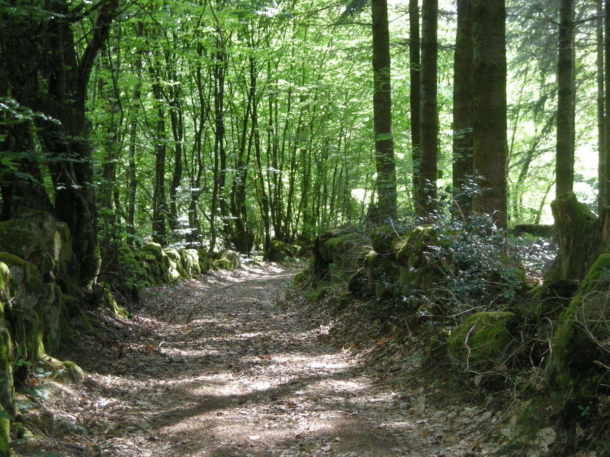 La Vieille Auberge Du Lac Saint-Agnan  ภายนอก รูปภาพ