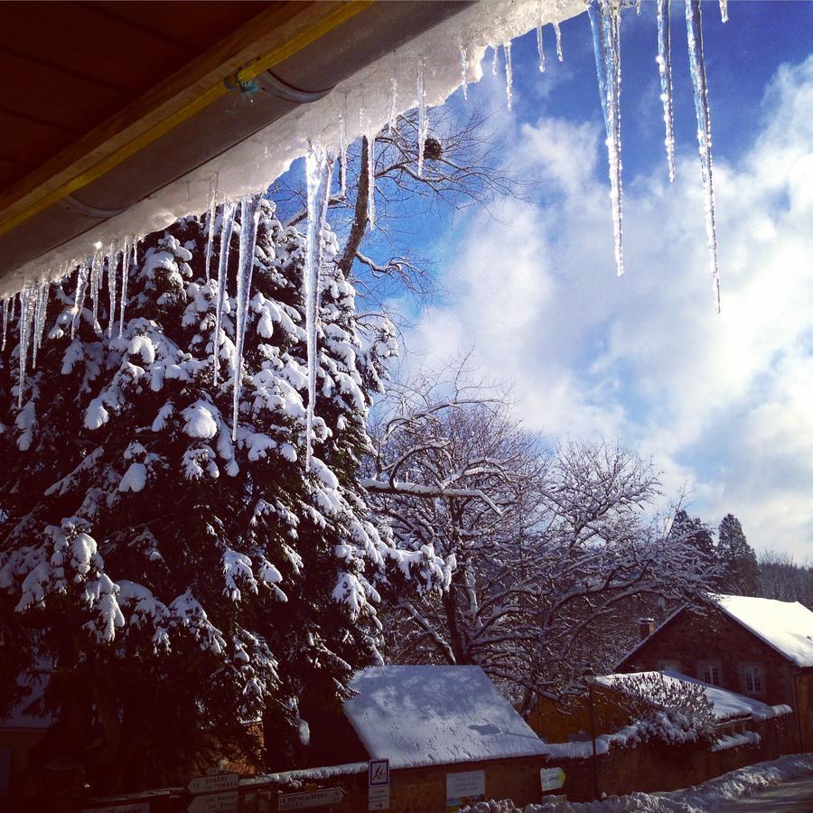 La Vieille Auberge Du Lac Saint-Agnan  ภายนอก รูปภาพ